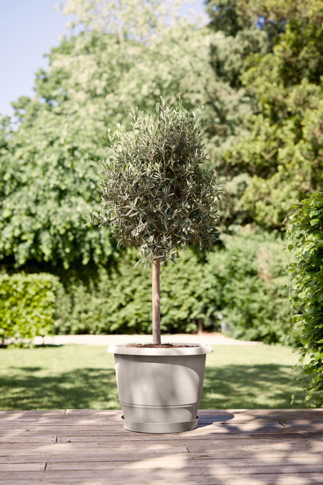 amiga round 25cm beige fungo